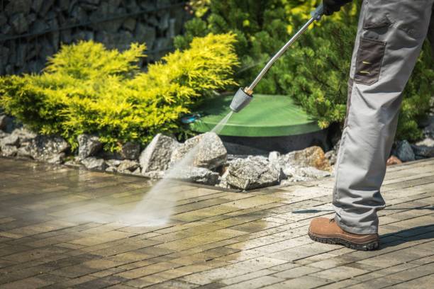 Best Patio and Deck Pressure Washing  in Mapleton, ND