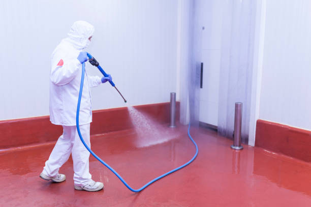 Best Concrete Sealing  in Mapleton, ND